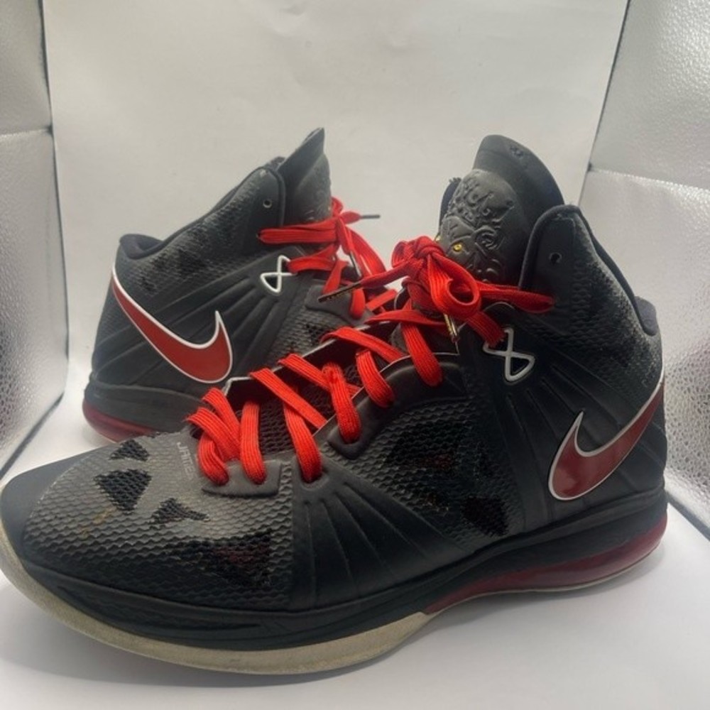 Nike Lebron Bred View 2